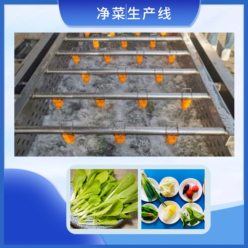 净菜生产线